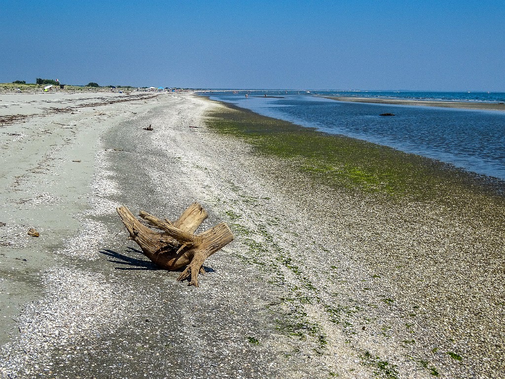 Po di Maistra, Porto Tolle, RO (30)